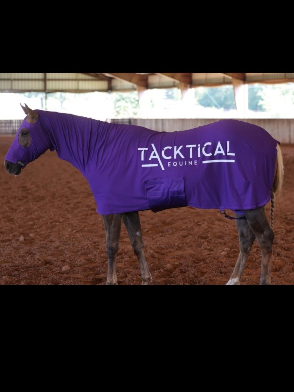 Tacktical Equine Purple Stretch Horse Stretchie Size L